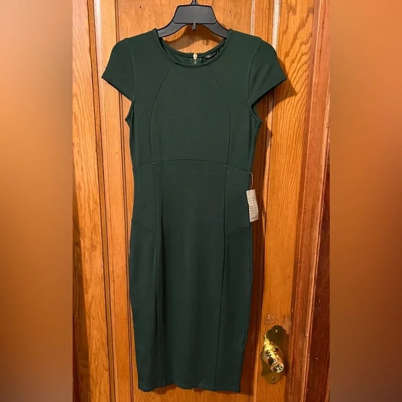 Felicity Coco Dresses Felicity Coco Ward Seamed Pencil Dress